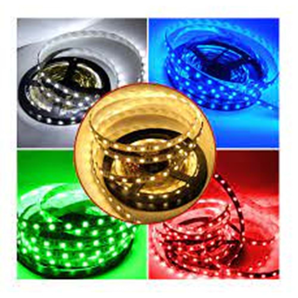 HOROZ MAVİ ÜÇ ÇİPLİ ŞERİT LED İÇ MEKAN 40X40 5M AMAZON 081 005 0001-M