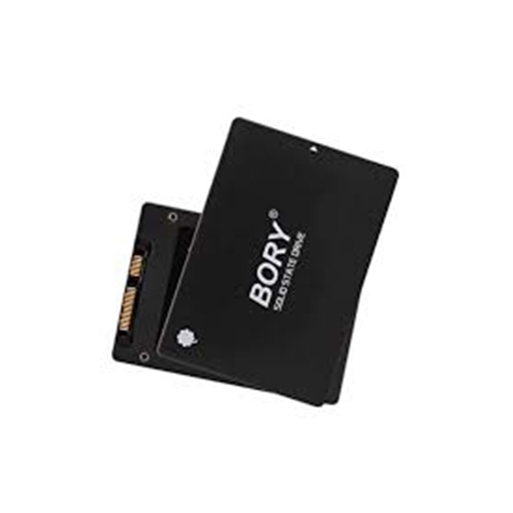 256GB BORRY SATA3 R500-C256G SSD 550/510 MBS(3YIL GARANTİLİ)