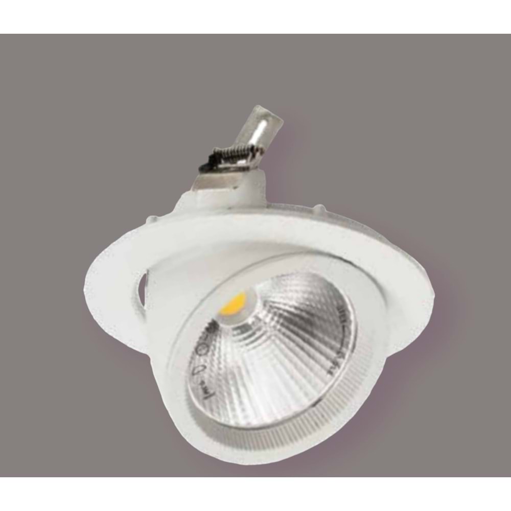 ACK AD36-00430 30W 6500K BEYAZ KASA LED SALYANGOZ ARMATÜR