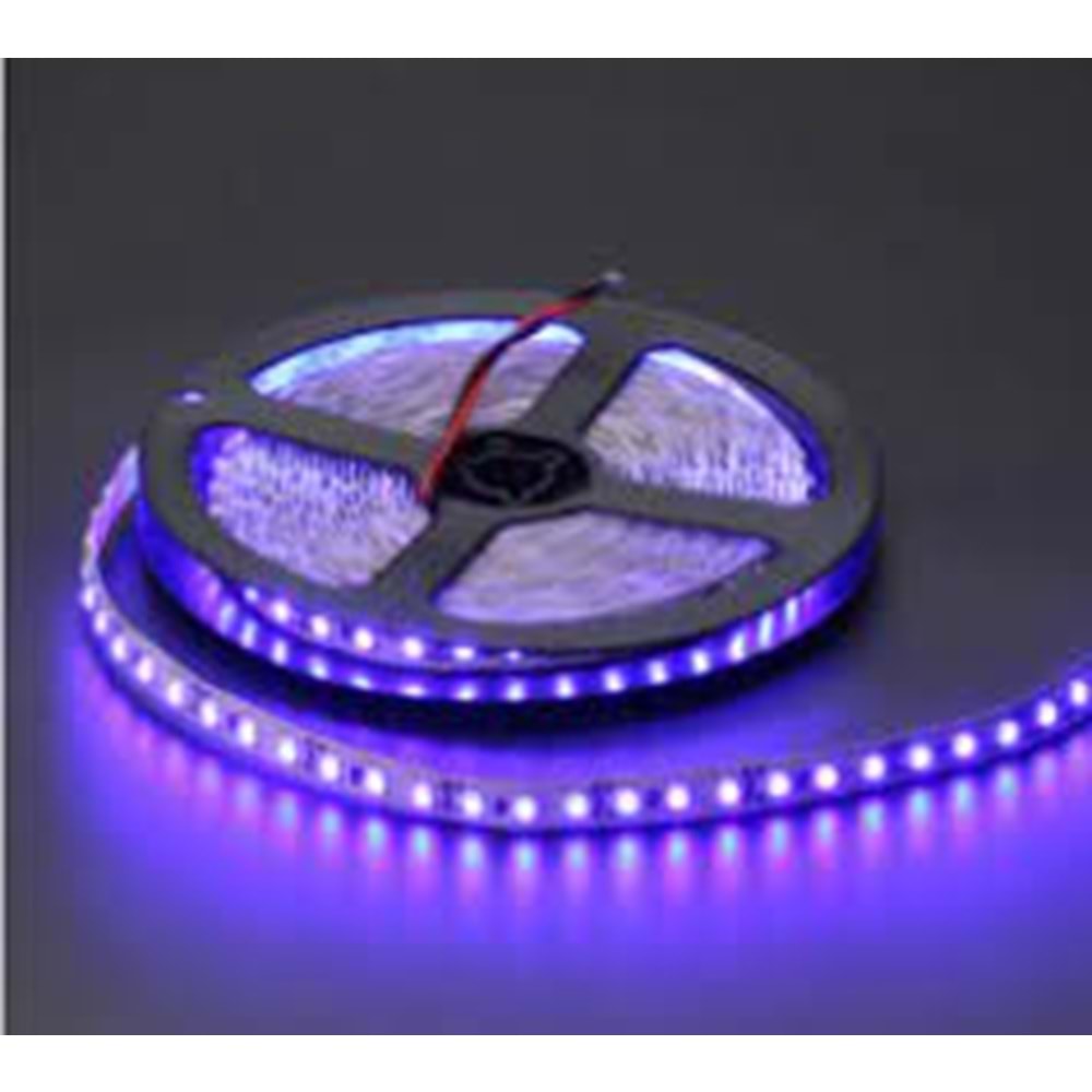 CATA 10 ÇİPLİ ŞERİT LED İÇ MEKAN MAVİ( 5 METRE) CT-4484 (10 ÇİP 3 ÇİP )