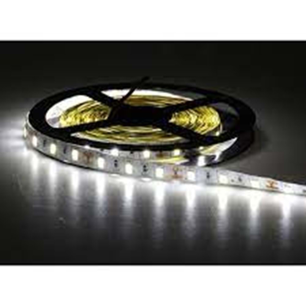 CATA GOLD( 5 METRE) 5630 ÇİP ŞERİT LED İÇ MEKAN GÜNIŞIĞI YÜKSEK LÜMEN CT-4537