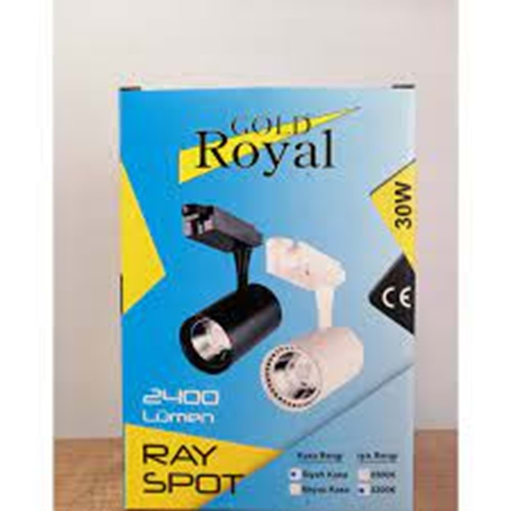 GOLD ROYAL 30W 2400 LUMEN RAY SPOT SİYAH KASA BEYAZ IŞIK