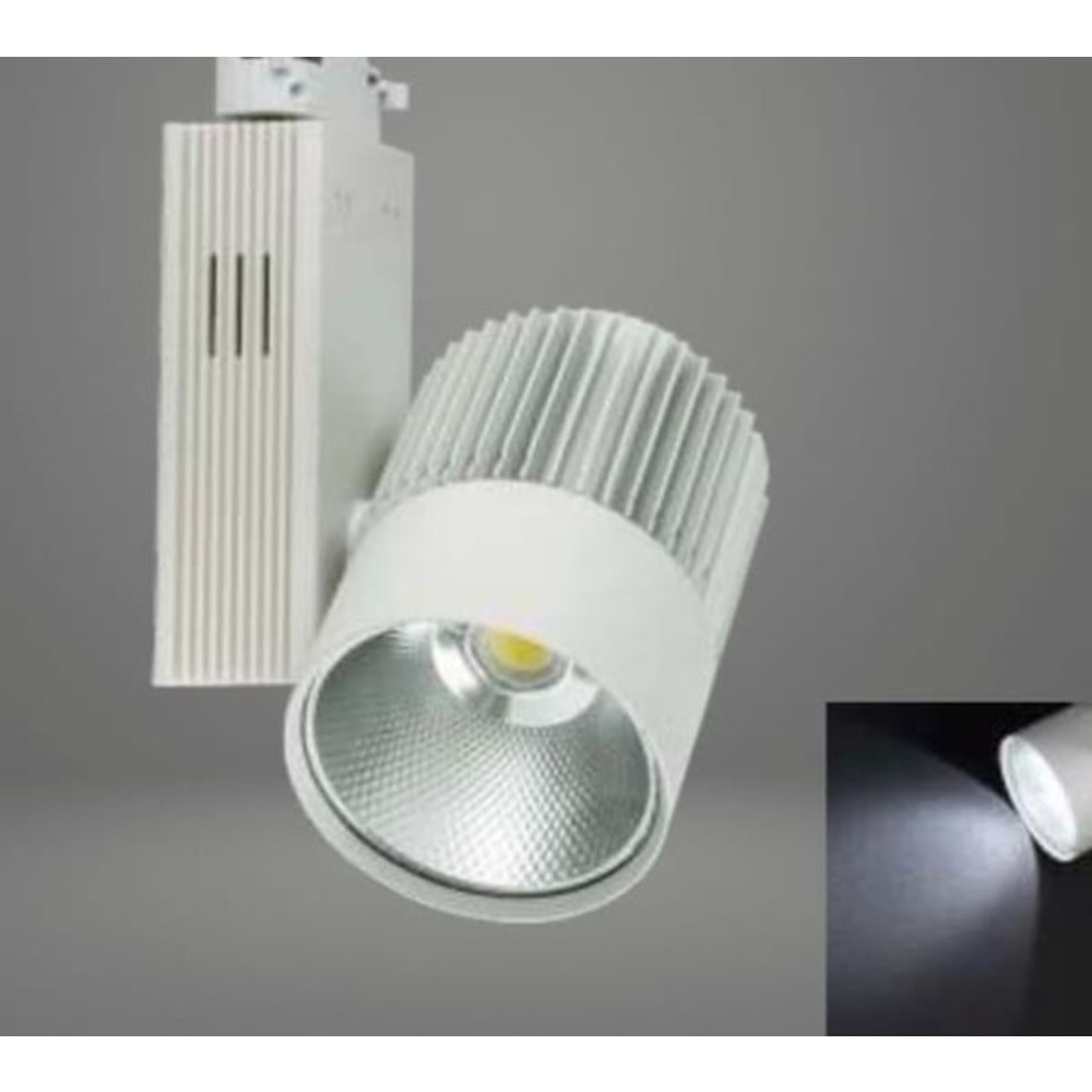 YL29-4101-T COLMAR 40W BEYAZ KASA 6500K IP20 KORUMALI RAY SPOT
