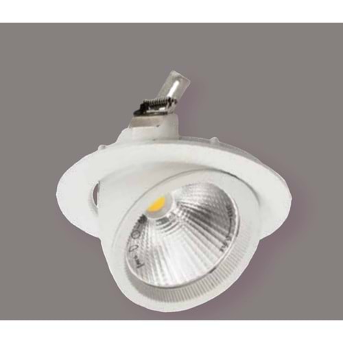 ACK AD36-00430 30W 6500K BEYAZ KASA LED SALYANGOZ ARMATÜR