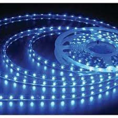 ACK MAVİ 12V ÜÇ ÇİP 60 LEDLİ SİLİKONSUZ ŞERİT LED AS01-00306