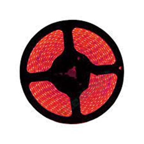 ACK KIRMIZI 220V 50M ŞERİT LED AS01-00504