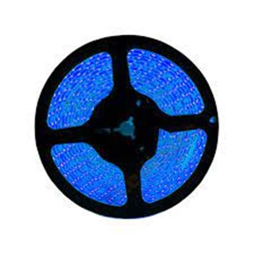 ACK MAVİ 220V 50M ŞERİT LED AS01-00506