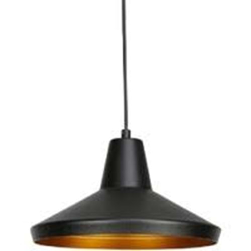 CATA MODERN DEKORATİF SARKIT ARMATÜR CT-8102 SİYAH-ALTIN