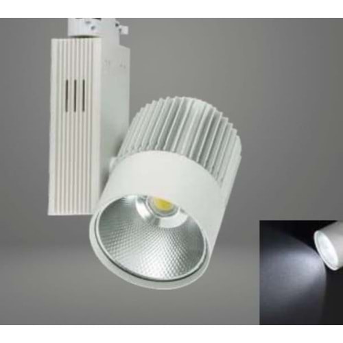 YL29-4101-T COLMAR 40W BEYAZ KASA 6500K IP20 KORUMALI RAY SPOT